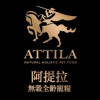 ATTILA 阿提拉