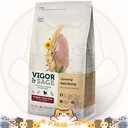 Vigor & Sage 狗糧 人蔘成犬糧 (大粒裝) Ginseng Well-Being Regular Adult Dog 12kg 