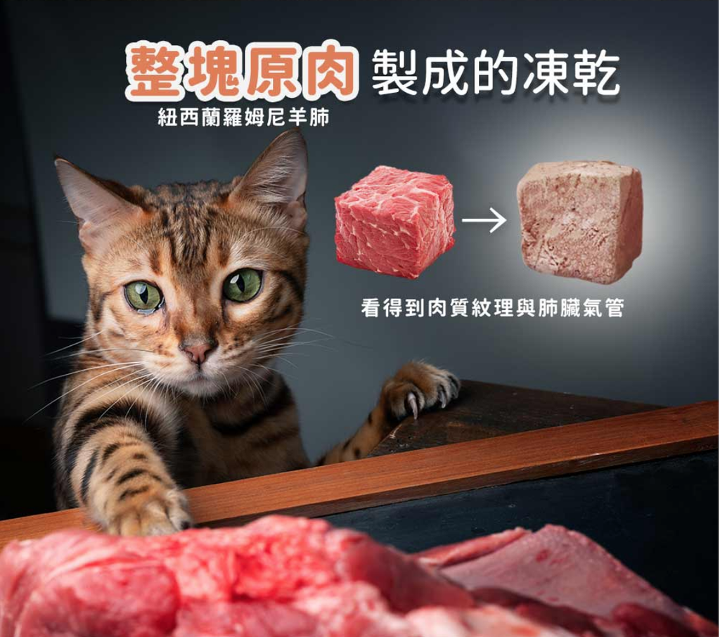 Trilogy™奇境 Adult Australian Salmon + Freeze Dried New Zealand Lamb 澳洲三文魚＋5%紐西蘭羊肺凍乾 無穀全貓糧 (護膚美毛配方) 1.8KG