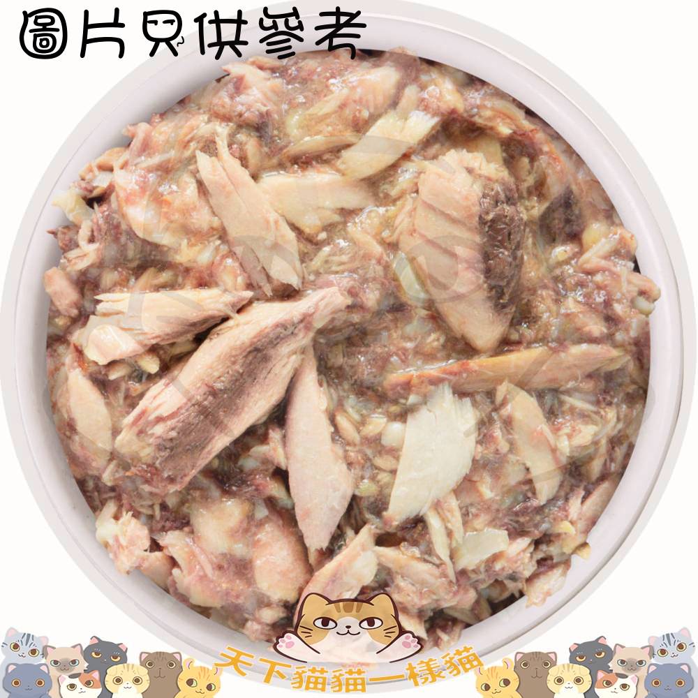  Weruva 1819 Seafood 156g Mideast Feast 中東大餐 (吞拿,羅非魚) 