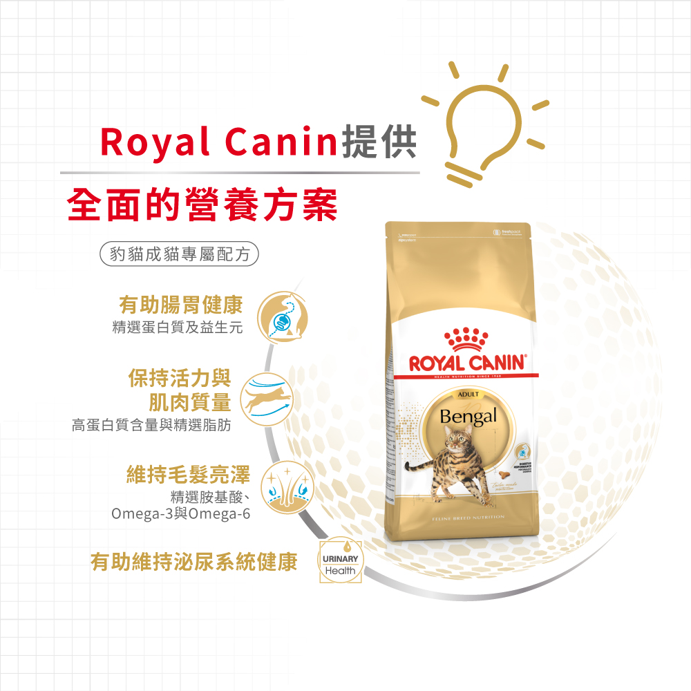 Royal Canin CAT - Feline Breed Nutrition(FBN) Bengal Adult 純種系列 豹貓成貓專屬配方10kg (原裝行貨) 