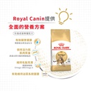 Royal Canin CAT - Feline Breed Nutrition(FBN) Bengal Adult 純種系列 豹貓成貓專屬配方10kg (原裝行貨) 