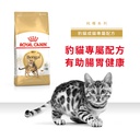 Royal Canin CAT - Feline Breed Nutrition(FBN)  Bengal Adult 純種系列 豹貓成貓專屬配方 02kg (原裝行貨) 