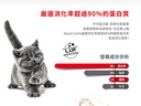 Royal Canin CAT - Feline Breed Nutrition(FBN)  British Shorthair Kitten 純種系列 英國短毛幼貓專屬配方10kg (原裝行貨)