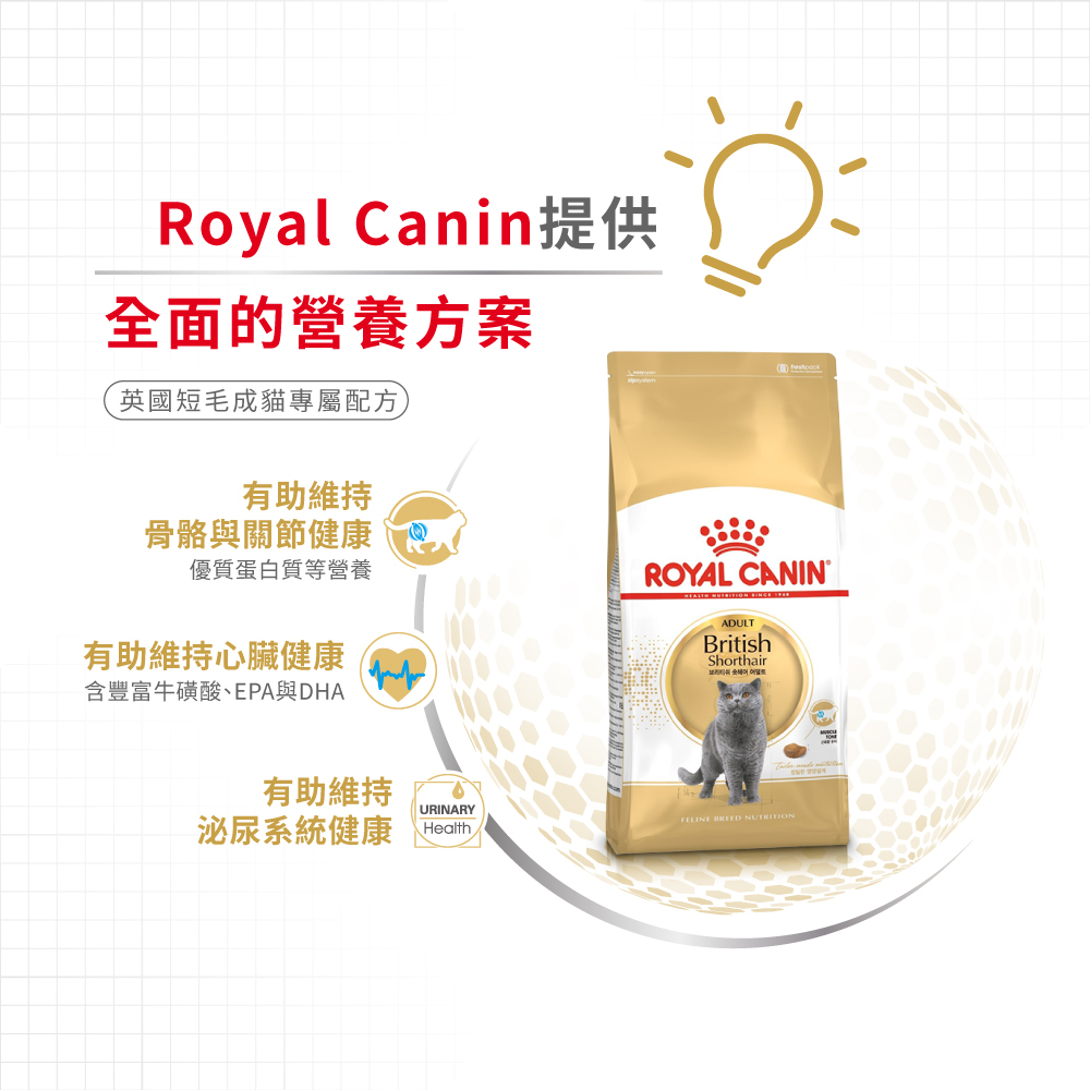 Royal Canin CAT - Feline Breed Nutrition(FBN)  British Shorthair Adult 純種系列 英國短毛成貓專屬配方 02kg (原裝行貨)