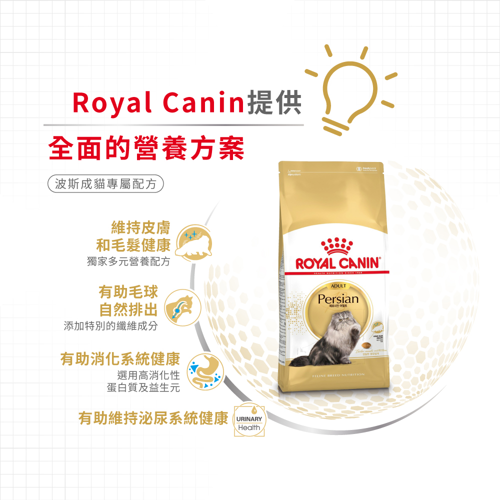 Royal Canin CAT - Feline Breed Nutrition(FBN)  Persian Adult 純種系列 波斯成貓專屬配方 02kg (2552020011)(原裝行貨)