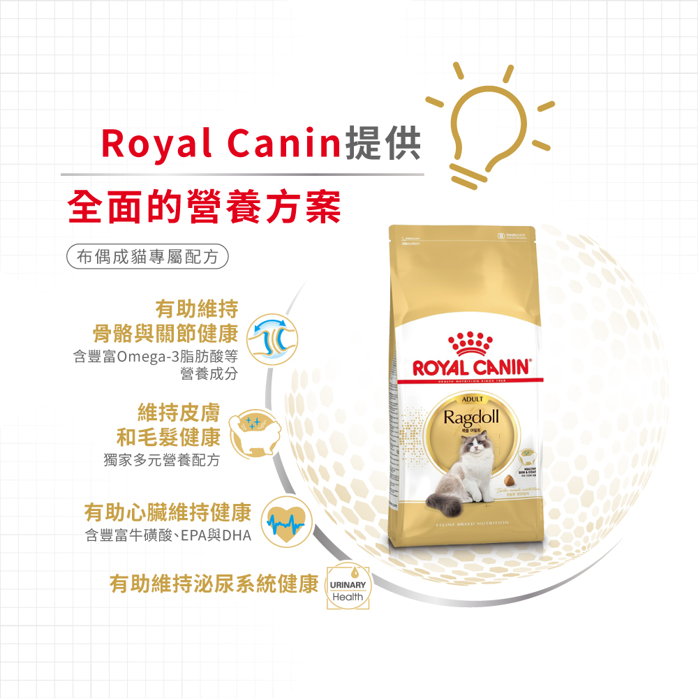 Royal Canin CAT - Feline Breed Nutrition(FBN) Ragdoll Adult 純種系列 布偶成貓專屬配方10kg (2515100010)(原裝行貨)