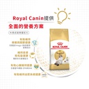 Royal Canin CAT - Feline Breed Nutrition(FBN)  Ragdoll Adult 純種系列 布偶成貓專屬配方 02kg (2351300)(原裝行貨)