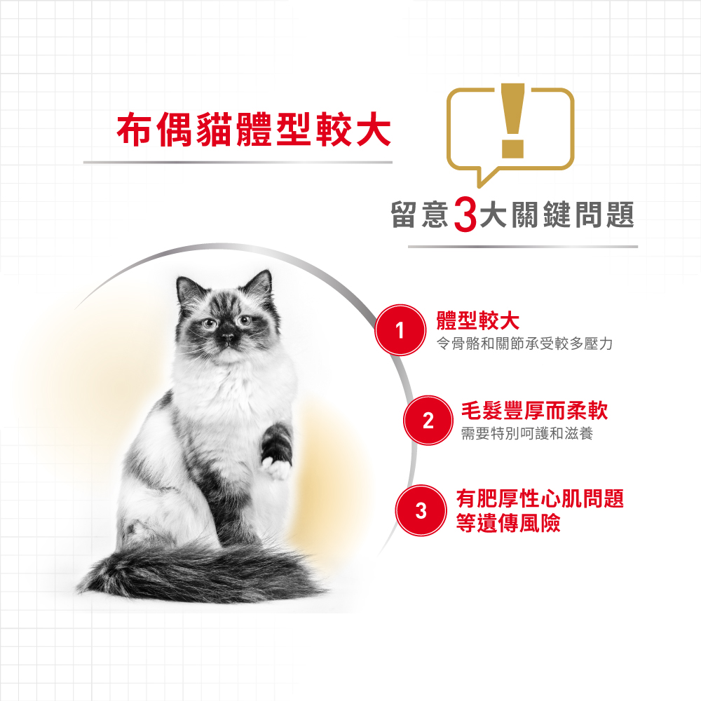 Royal Canin CAT - Feline Breed Nutrition(FBN) Ragdoll Adult 純種系列 布偶成貓專屬配方10kg (2515100010)(原裝行貨)