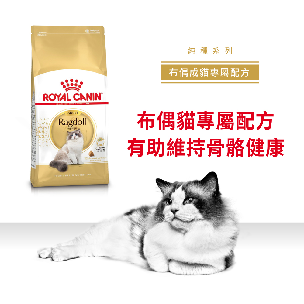 Royal Canin CAT - Feline Breed Nutrition(FBN) Ragdoll Adult 純種系列 布偶成貓專屬配方10kg (2515100010)(原裝行貨)