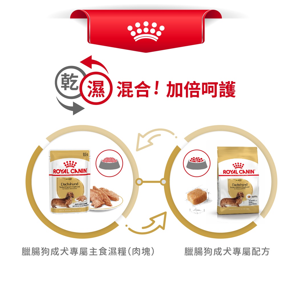 Royal Canin -  Breed 純種系列 Dachshund Adult Dog 1.5KG 臘腸狗成犬專屬配方1.5公斤[訂貨需時2-3天](原裝行貨)