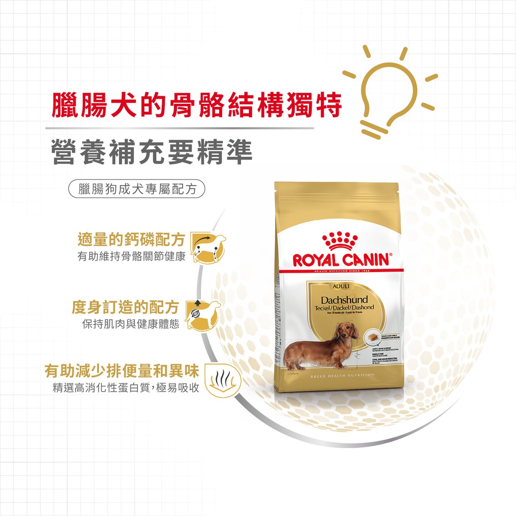 Royal Canin CAT - Feline Breed Nutrition(FBN)  Bengal Adult 純種系列 豹貓成貓專屬配方 02kg (原裝行貨) 