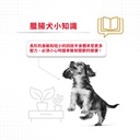 Royal Canin -  Breed 純種系列 Dachshund Adult Dog 1.5KG 臘腸狗成犬專屬配方1.5公斤[訂貨需時2-3天](原裝行貨)