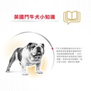 Royal Canin -  Breed 純種系列 Bulldog Adult Dog 12KG 鬥牛成犬專屬配方12公斤(*)[訂貨需時2-3天](原裝行貨)