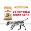 Royal Canin -  Breed 純種系列 Golden Retriever Adult Dog 12KG 金毛尋回成犬專屬配方12公斤[訂貨需時2-3天](原裝行貨)