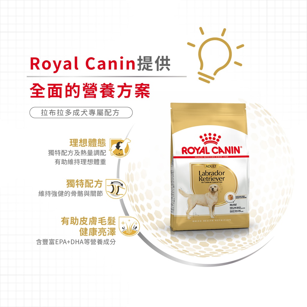 Royal Canin -  Breed 純種系列 Labrador Retriever Adult Dog 12KG 拉布拉多成犬專屬配方12公斤[訂貨需時2-3天](原裝行貨)