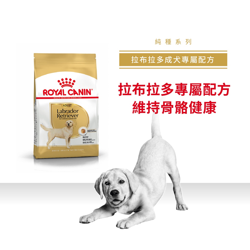 Royal Canin -  Breed 純種系列 Labrador Retriever Adult Dog 12KG 拉布拉多成犬專屬配方12公斤[訂貨需時2-3天](原裝行貨)