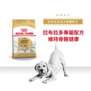 Royal Canin -  Breed 純種系列 Labrador Retriever Adult Dog 12KG 拉布拉多成犬專屬配方12公斤[訂貨需時2-3天](原裝行貨)