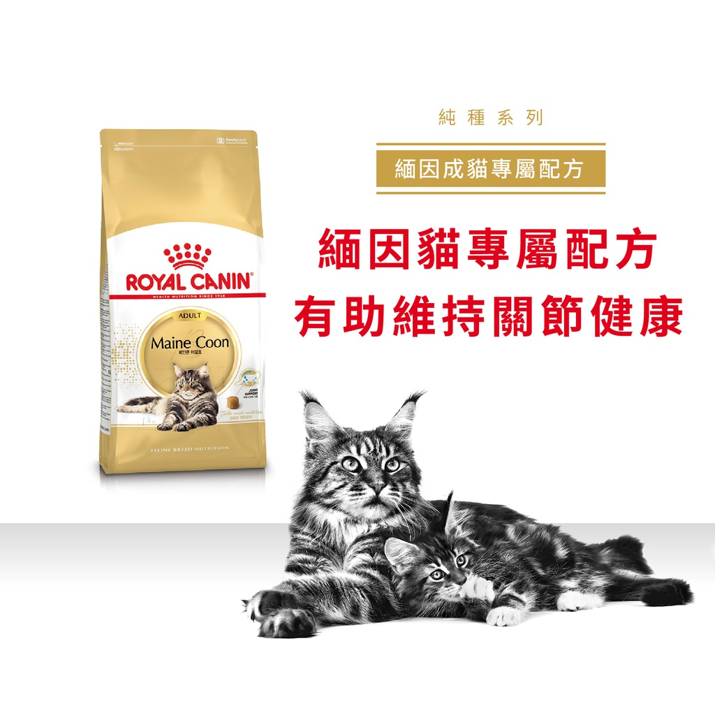 Royal Canin CAT - Feline Breed Nutrition(FBN)  Maine Coon Adult 純種系列 緬因成貓專屬配方10kg(2550100010)(原裝行貨)