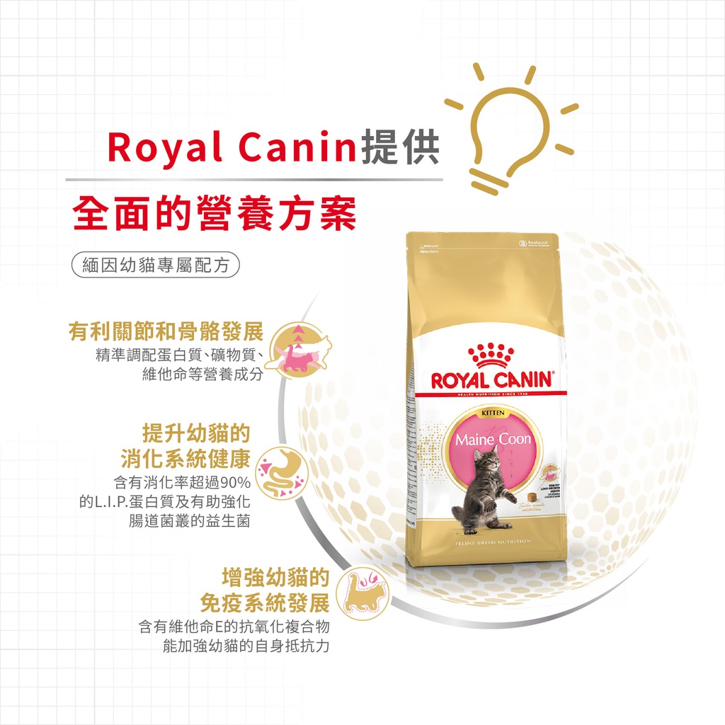 Royal Canin CAT - Feline Breed Nutrition(FBN)  Maine Coon Kitten 純種系列 緬因幼貓專屬配方 10kg (2521100)(原裝行貨)