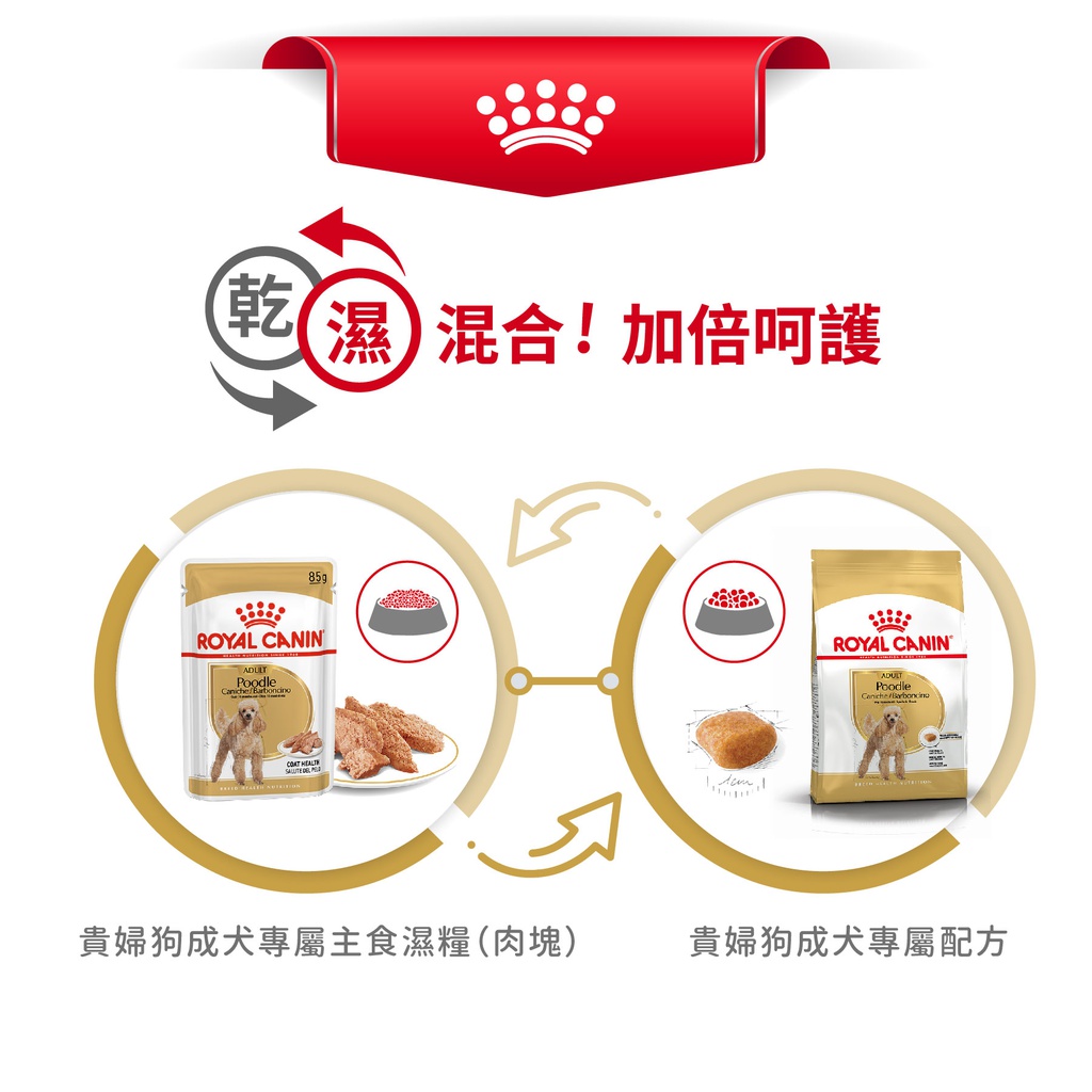 Royal Canin -  Breed 純種系列 Poodle Adult Dog 1.5KG 貴婦狗成犬專屬配方1.5公斤[訂貨需時2-3天](原裝行貨)