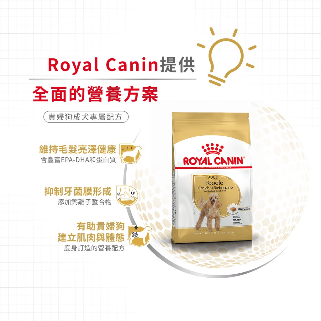 Royal Canin -  Breed 純種系列 Poodle Adult Dog 1.5KG 貴婦狗成犬專屬配方1.5公斤[訂貨需時2-3天](原裝行貨)