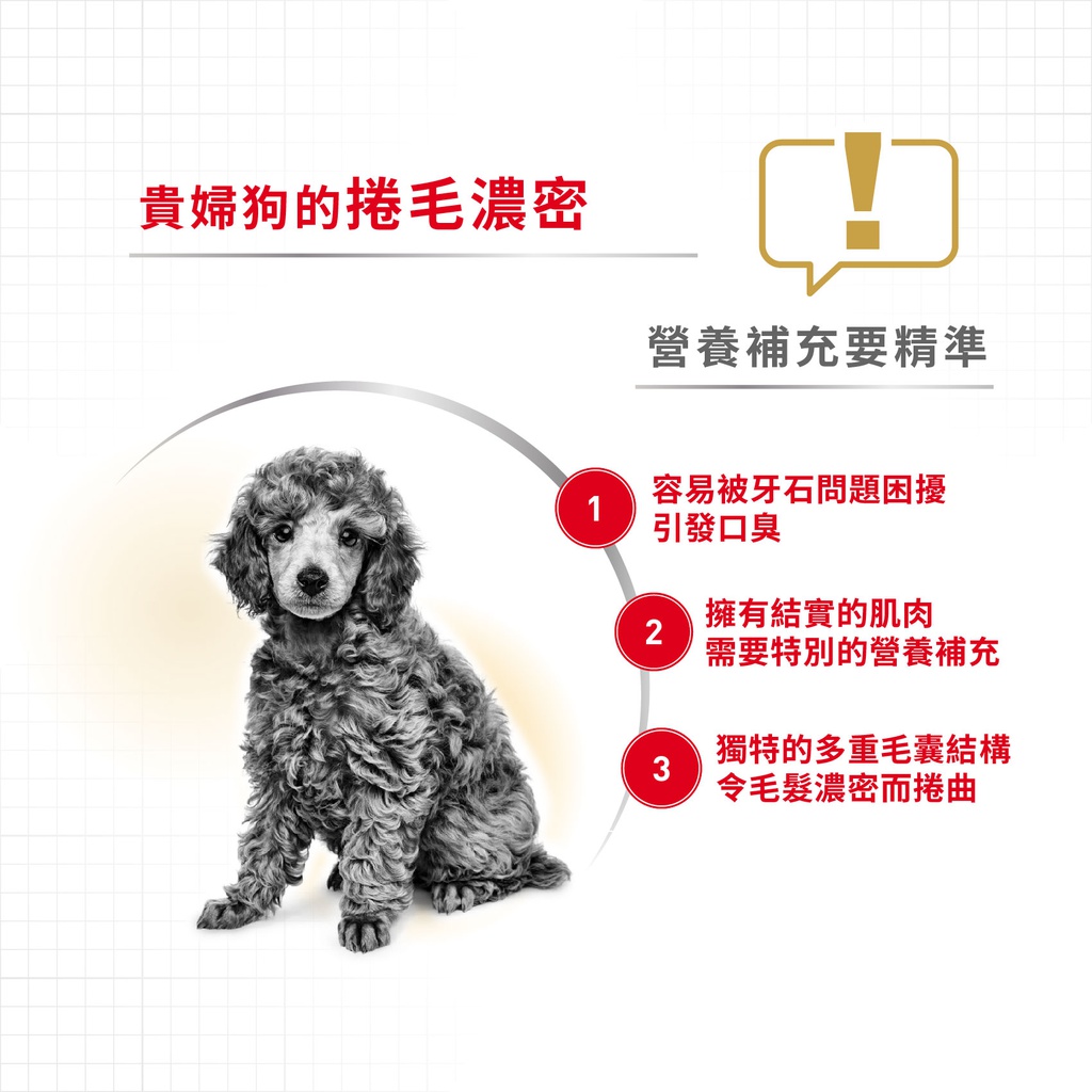 Royal Canin -  Breed 純種系列 Poodle Adult Dog 1.5KG 貴婦狗成犬專屬配方1.5公斤[訂貨需時2-3天](原裝行貨)