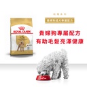 Royal Canin -  Breed 純種系列 Poodle Adult Dog 3KG 貴婦狗成犬專屬配方3公斤[訂貨需時2-3天](原裝行貨)