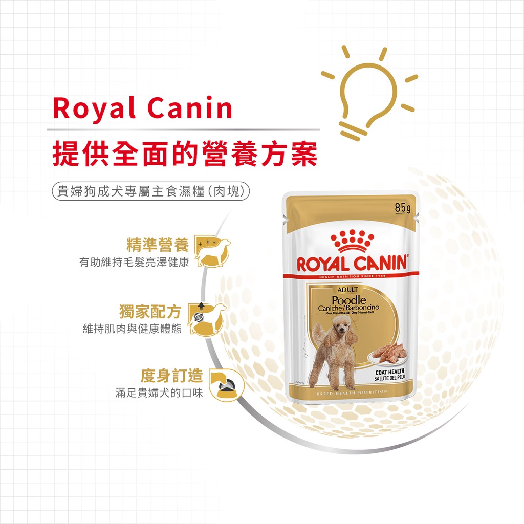 Royal Canin -  Breed 純種系列 Poodle Adult Dog (Loaf) 85GX12 貴婦狗成犬專屬主食濕糧 (肉塊) 85克x12[訂貨需時2-3天] (原裝行貨)