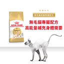 Royal Canin CAT - Feline Breed Nutrition(FBN) Sphynx Adult 純種系列 無毛貓成貓專屬配方02kg(原裝行貨)