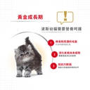 Royal Canin CAT - Feline Breed Nutrition(FBN)  Persian Kitten 純種系列 波斯幼貓專屬配方10kg(原裝行貨)