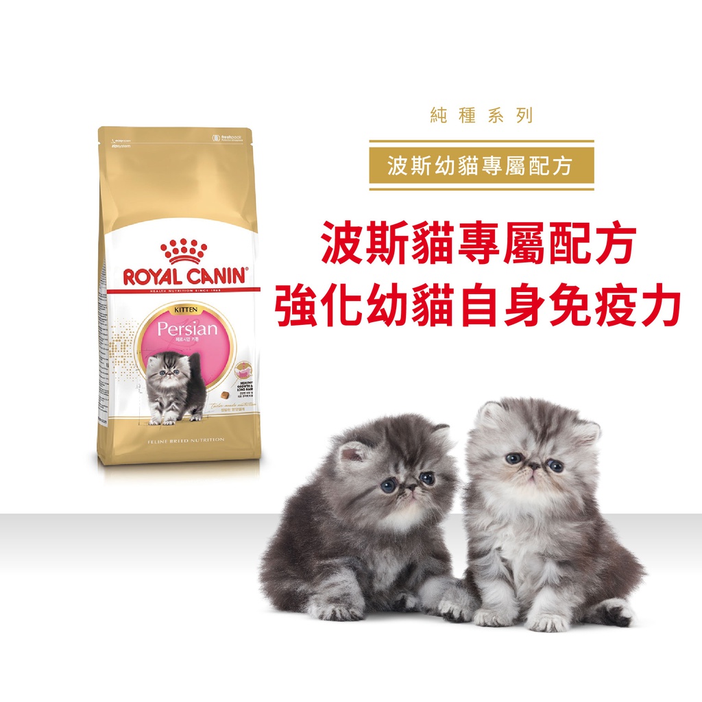 Royal Canin CAT - Feline Breed Nutrition(FBN)  Persian Kitten 純種系列 波斯幼貓專屬配方02kg(原裝行貨)