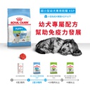 Royal Canin -  Health Nutrition 健康營養系列 X-Small Puppy 1.5KG 超小型幼犬營養配方1.5公斤[訂貨需時2-3天](原裝行貨)