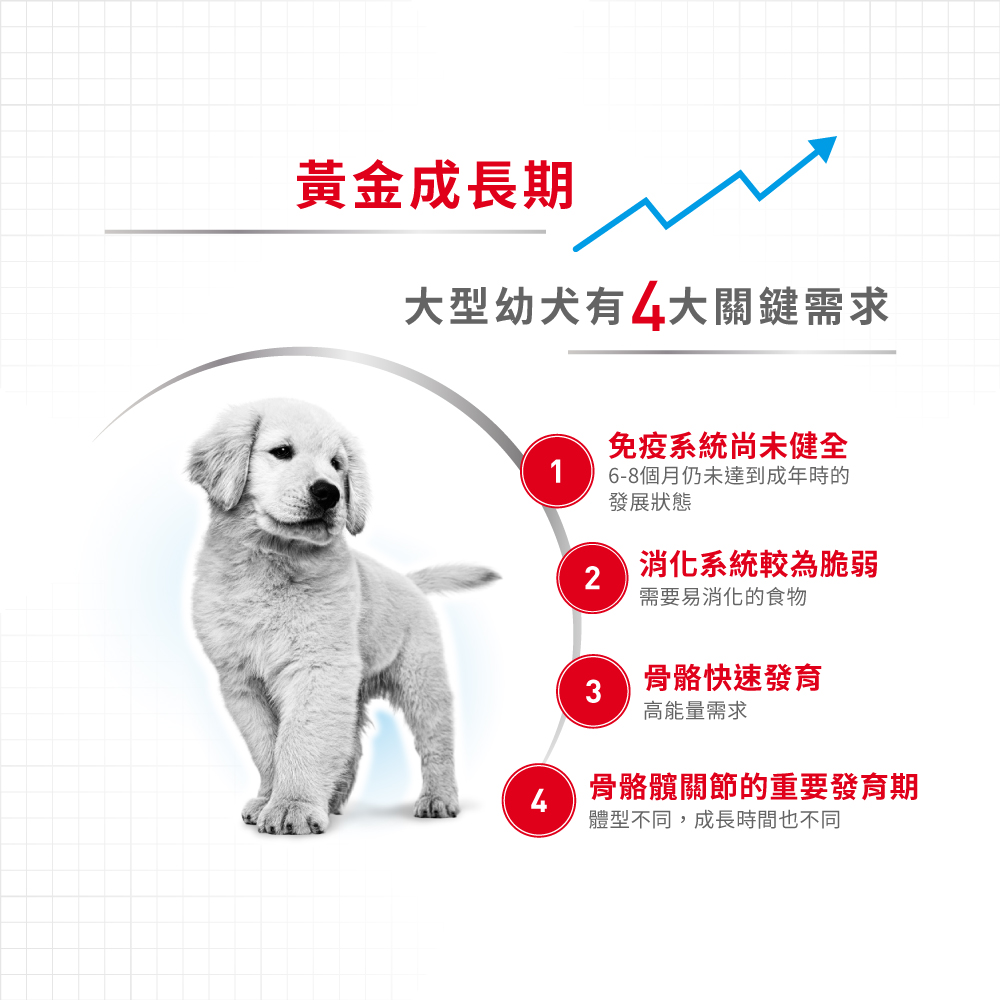 Royal Canin -  Health Nutrition 健康營養系列 Maxi Puppy 15KG 大型幼犬營養配方15公斤[訂貨需時2-3天](原裝行貨)