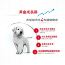 Royal Canin -  Health Nutrition 健康營養系列 Maxi Puppy 15KG 大型幼犬營養配方15公斤[訂貨需時2-3天](原裝行貨)