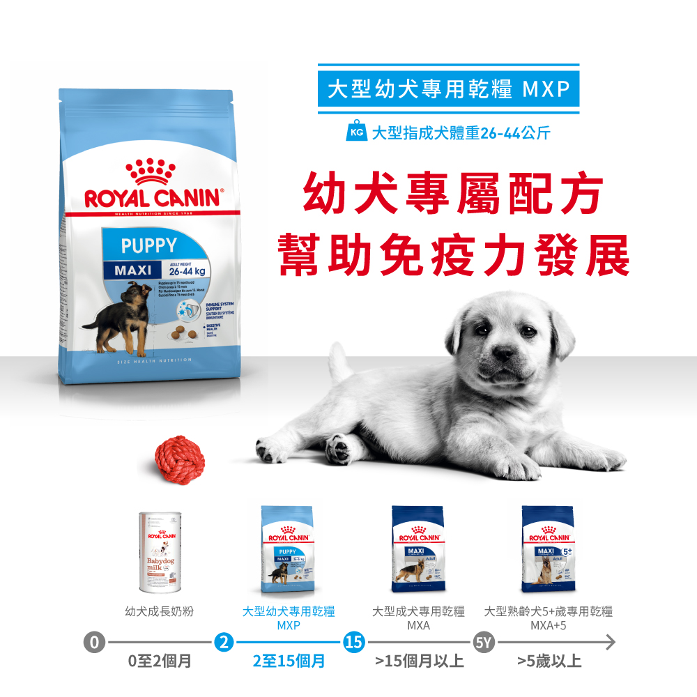 Royal Canin -  Health Nutrition 健康營養系列 Maxi Puppy 15KG 大型幼犬營養配方15公斤[訂貨需時2-3天](原裝行貨)