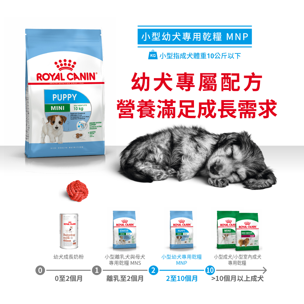 Royal Canin -  Health Nutrition 健康營養系列 Mini Puppy 4KG 小型幼犬營養配方4公斤[訂貨需時2-3天](原裝行貨)