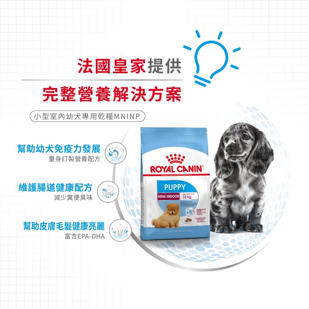 Royal Canin -  Health Nutrition 健康營養系列 Mini Indoor Puppy 3KG 室內小型幼犬營養配方3公斤[訂貨需時2-3天](原裝行貨)