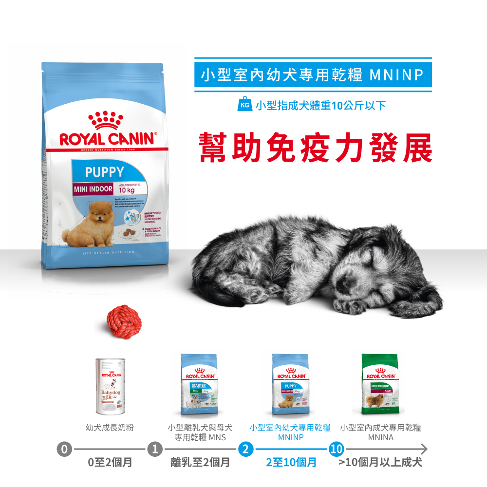 Royal Canin -  Health Nutrition 健康營養系列 Mini Indoor Puppy 3KG 室內小型幼犬營養配方3公斤[訂貨需時2-3天](原裝行貨)