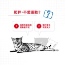 Royal Canin Light Weight Care 法國皇家減肥貓配方 3kg (2524030010) (*)