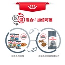 Royal Canin CAT - Feline Care Nutrition(FCN)  Oral Care Adult 加護系列 成貓高效潔齒加護配方3.5kg (2532035010)(原裝行貨)