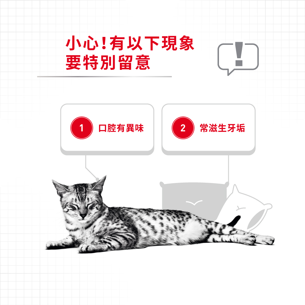 Royal Canin CAT - Feline Care Nutrition(FCN)  Oral Care Adult 加護系列 成貓高效潔齒加護配方3.5kg (2532035010)(原裝行貨)