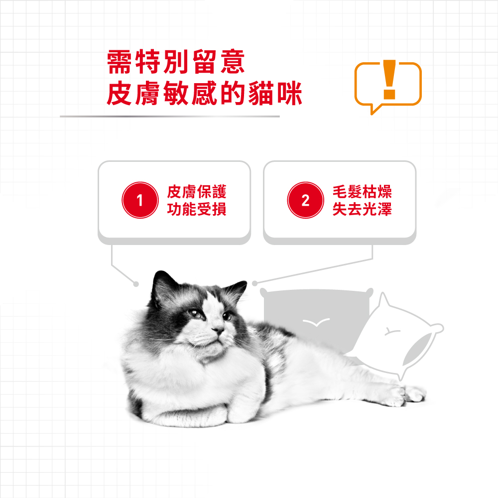 Royal Canin CAT - Feline Care Nutrition(FCN)  Hair & Skin Care Adult 加護系列 成貓亮毛及皮膚加護配方 04kg (2526040011)(原裝行貨)