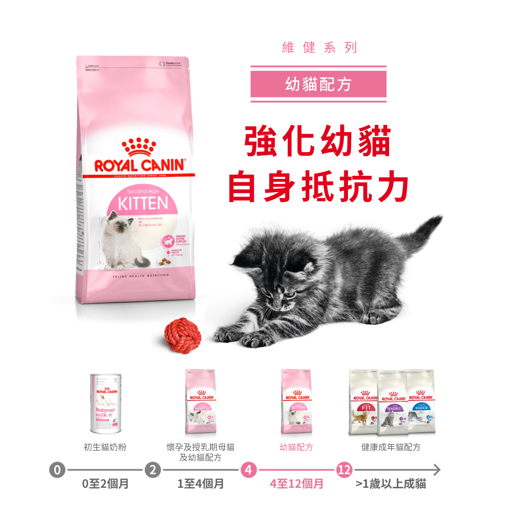 Royal Canin - Feline Health Nutrition (FHN) Kitten - up to 12 moths (k36) 健康營養系列 幼貓營養配方 (幼貓kitten) 02kg (新裝) 