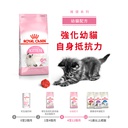 Royal Canin - Feline Health Nutrition (FHN) Kitten - up to 12 moths (k36) 健康營養系列 幼貓營養配方 (幼貓kitten) 10kg (新裝) 