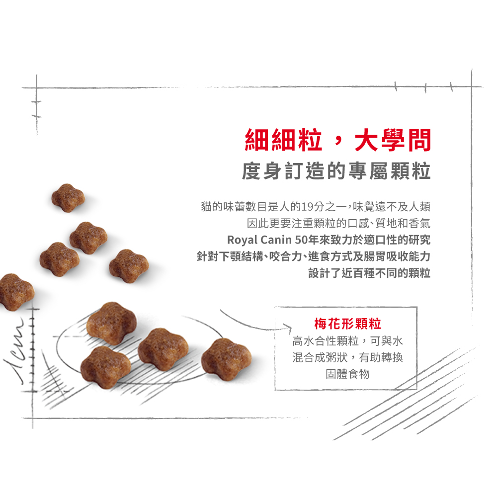 (新裝) Royal Canin CAT - Feline Health Nutrition (FHN) First Age Mother & Babycat 健康營養系列 離乳貓及母貓營養配方(幼貓mother) 10kg(原裝行貨)