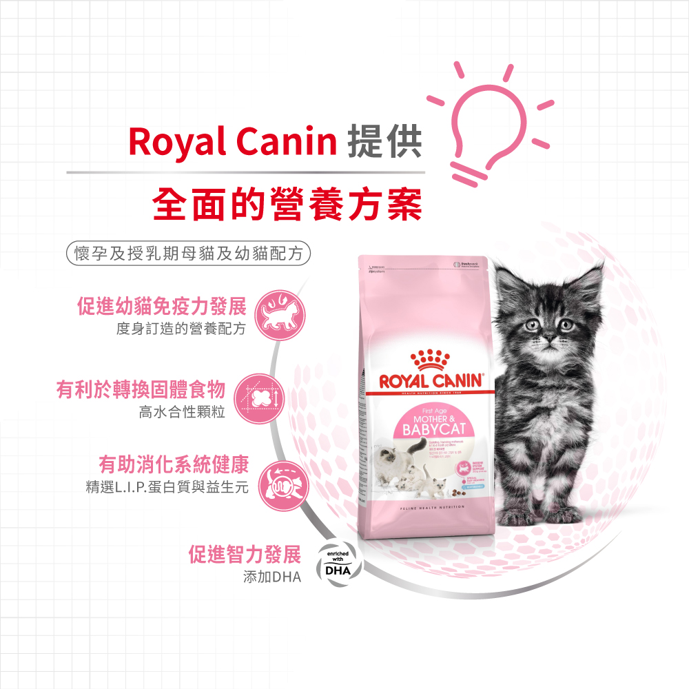 (新裝) Royal Canin CAT - Feline Health Nutrition (FHN) First Age Mother & Babycat 健康營養系列 離乳貓及母貓營養配方(幼貓mother) 10kg(原裝行貨)