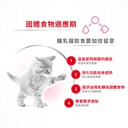 Royal Canin CAT - Feline Health Nutrition (FHN) First Age Mother & Babycat 健康營養系列 離乳貓及母貓營養配方(幼貓mother) 02kg(原裝行貨)