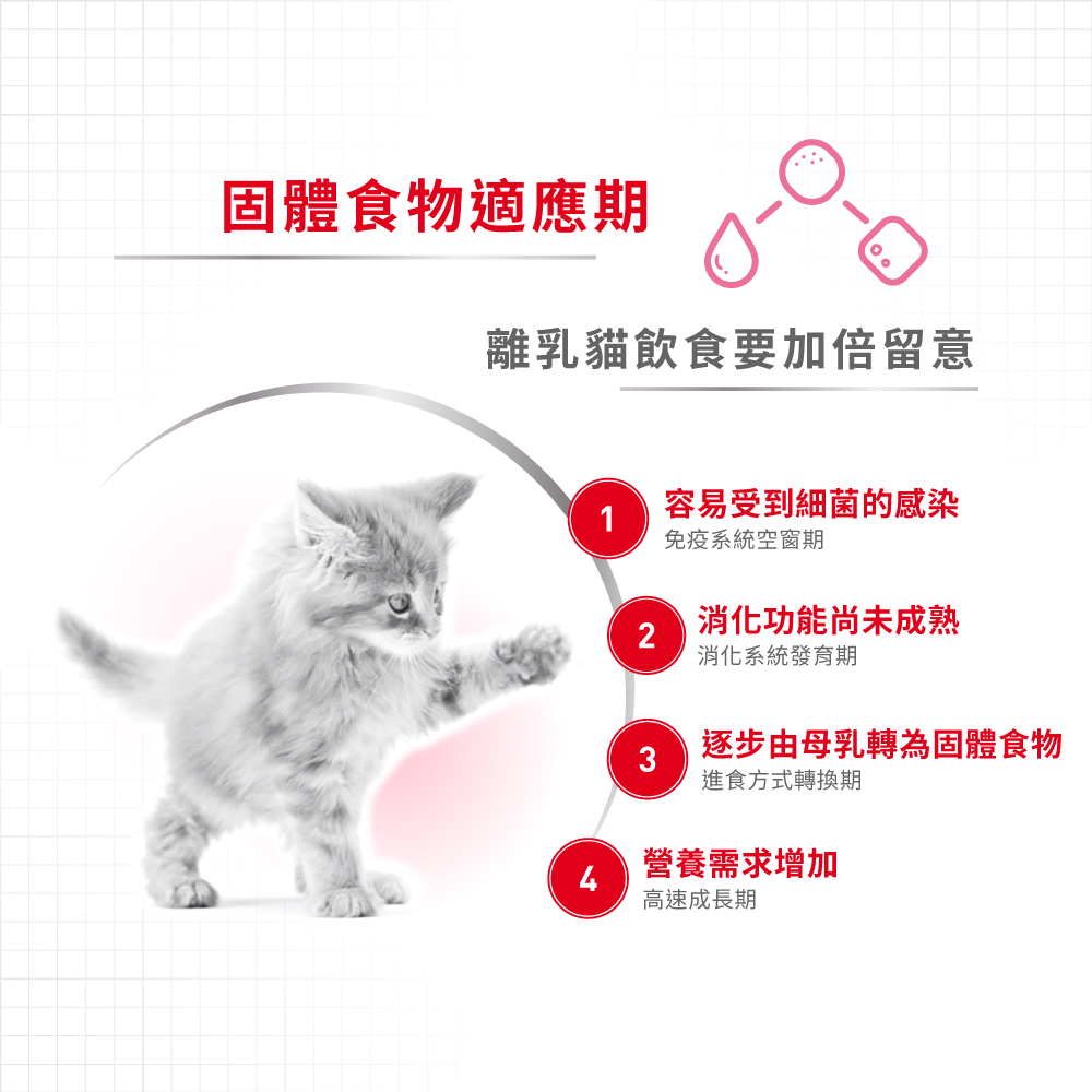 (新裝) Royal Canin CAT - Feline Health Nutrition (FHN) First Age Mother & Babycat 健康營養系列 離乳貓及母貓營養配方(幼貓mother) 10kg(原裝行貨)