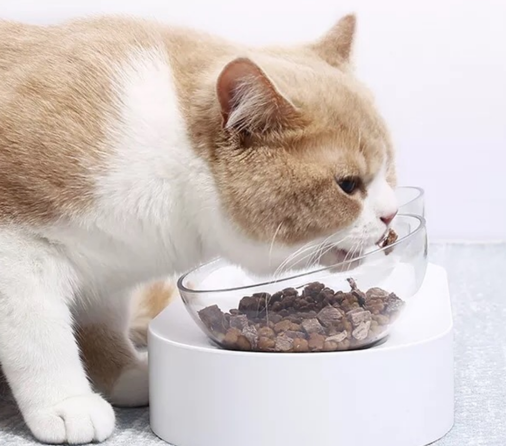 Petkit - Fresh Nano 15° Adjustable Cat Feeding Bowl可調角度貓咪餵食碗 (白色雙碗)